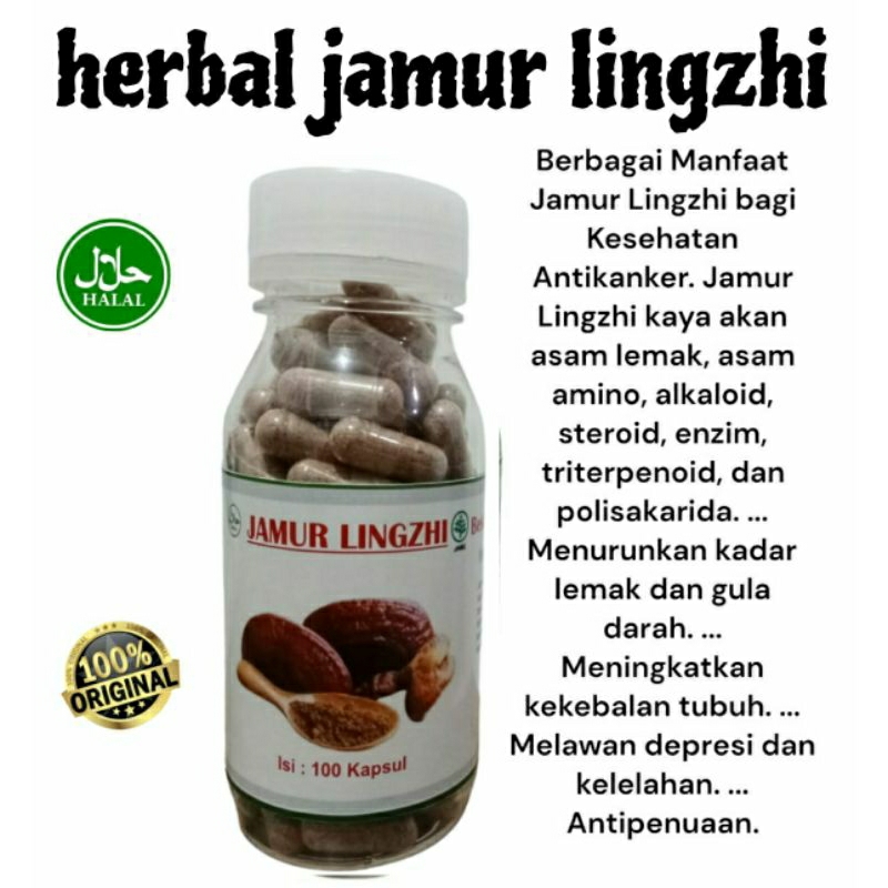 ekstrak jamur lingzhi isi 100 kapsul.meningkatkan kekebalan tubuh,anti kanker