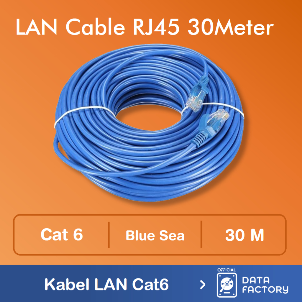 Lan Kabel 30m