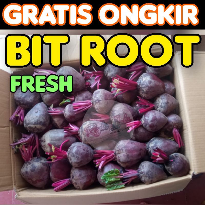 Jual 1 KG BUAH BIT ROOT UNGU FRESH SEGAR BERKHASIAT GROSIR ECER MURAH ...