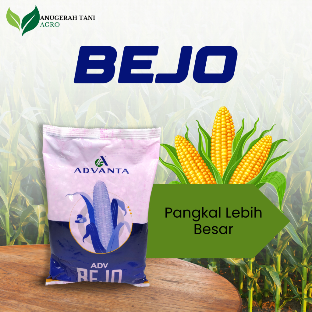Jual Benih Jagung ADV BEJO Kemasan 1 Kg Tahan Serangan Hama | Shopee ...