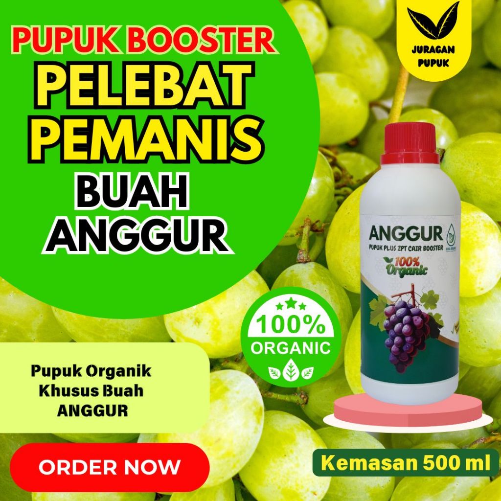 Jual Promo Pupuk Pelebat Buah / Pupuk Buah Anggur Anti Rontok / Pupuk ...