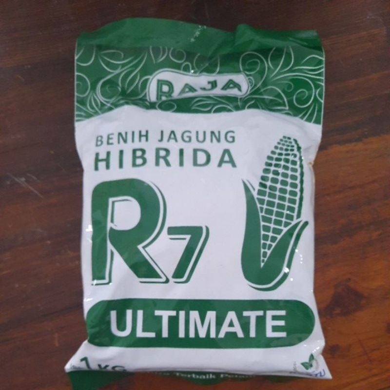 Jual Benih Jagung R7 Raja Ultimate | Shopee Indonesia