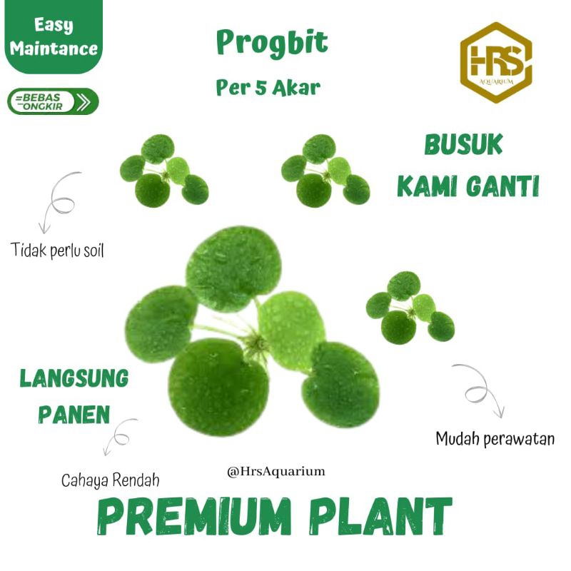 Produk Gia_aquatic | Shopee Indonesia