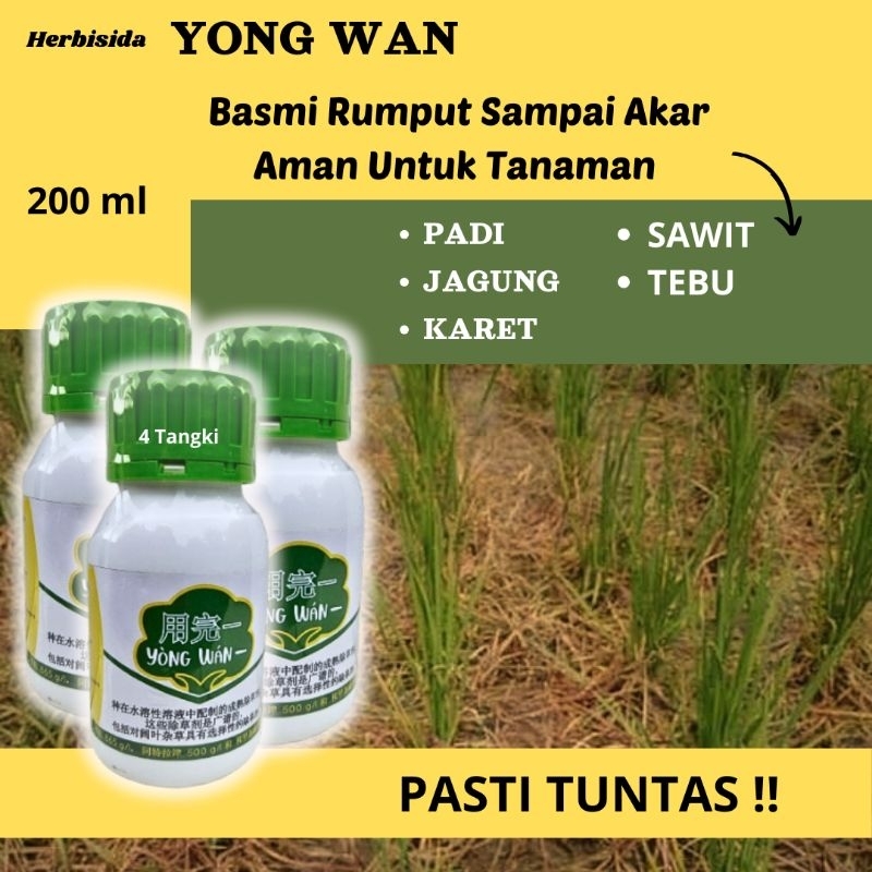 Jual RACUN RUMPUT SISTEMIK YONGWAN HERBISIDA YONG WAN isi 200 ml ...
