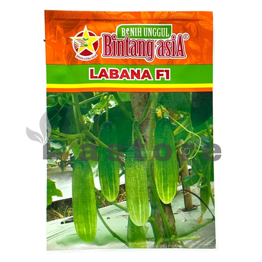 Jual Benih Timun Mentimun LABANA F1 Isi 20 gram Benih Bintang Asia ...
