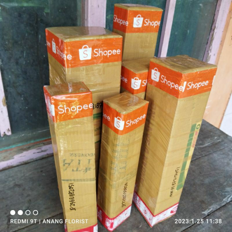 Jual Link Live Streaming 1 Kg Tanaman Hias Shopee Indonesia