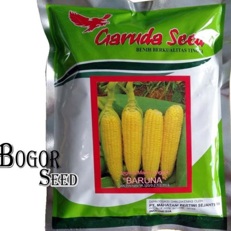 Jual Benih Jagung Manis BARUNA 250 Gr Bibit Jagung Manis BARUNA 250 Gr ...