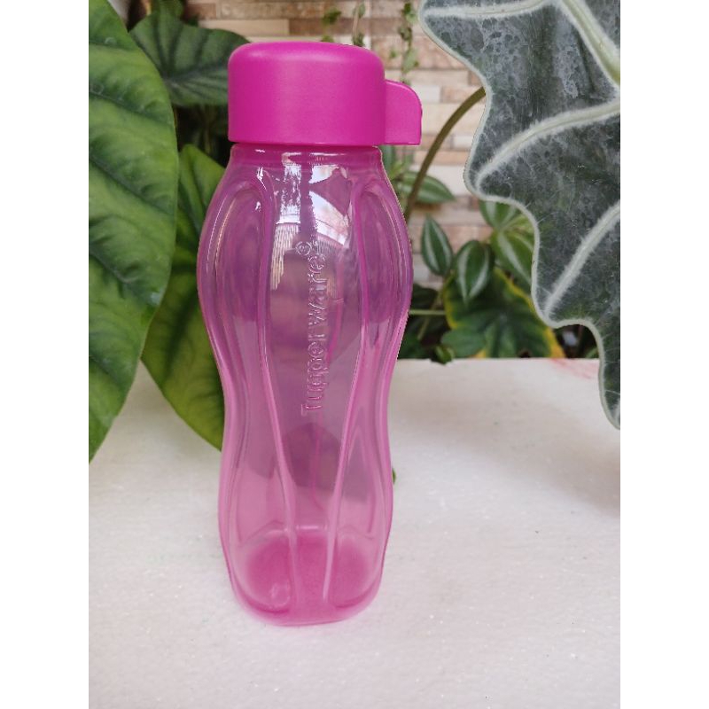 Jual Eco Bottle Ml Eco Botol Ml Tupperware Eco Botol Square