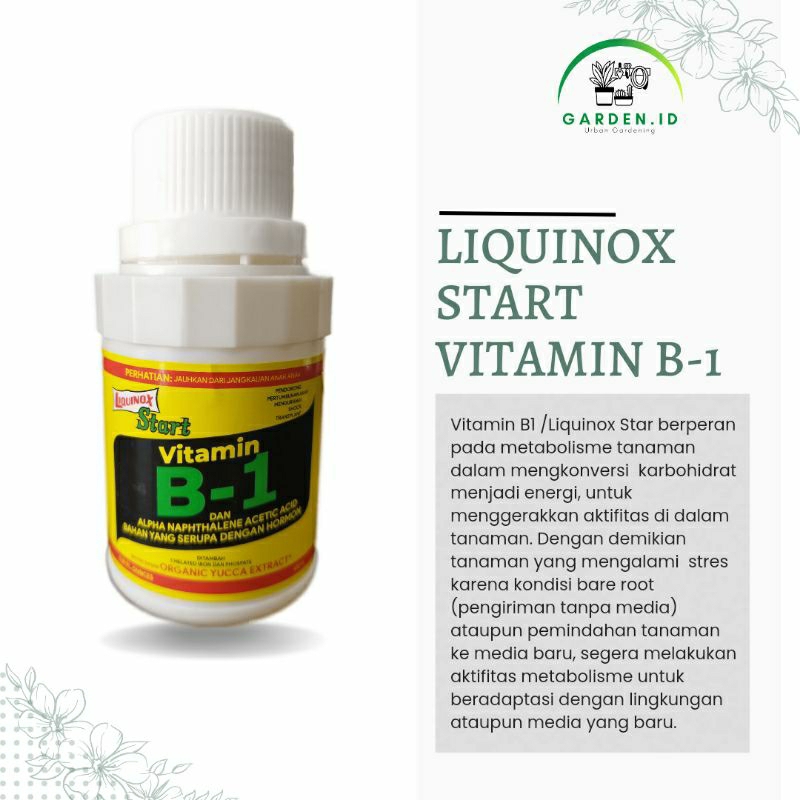 Jual Pupuk Vitamin B1 Tanaman LIQUINOX START 100 Ml | Shopee Indonesia