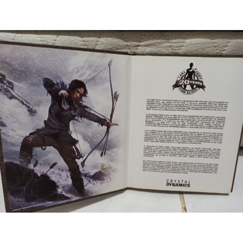 Jual DVD PS 4 ORI TOMB RIDER SPECIAL EDITION | Shopee Indonesia