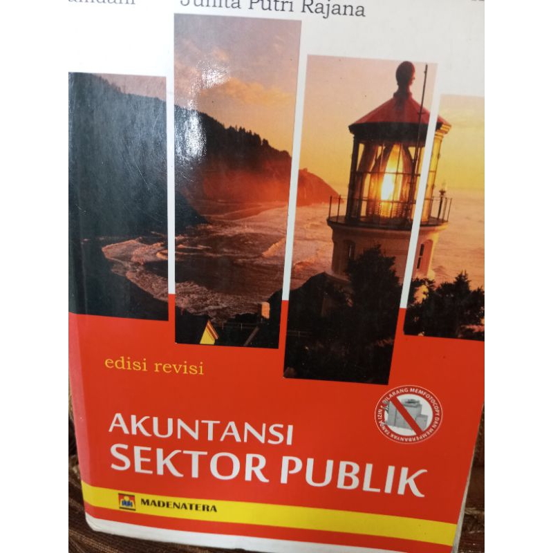 Jual Buku Akuntansi Sektor Publik Edisi Revisi | Shopee Indonesia