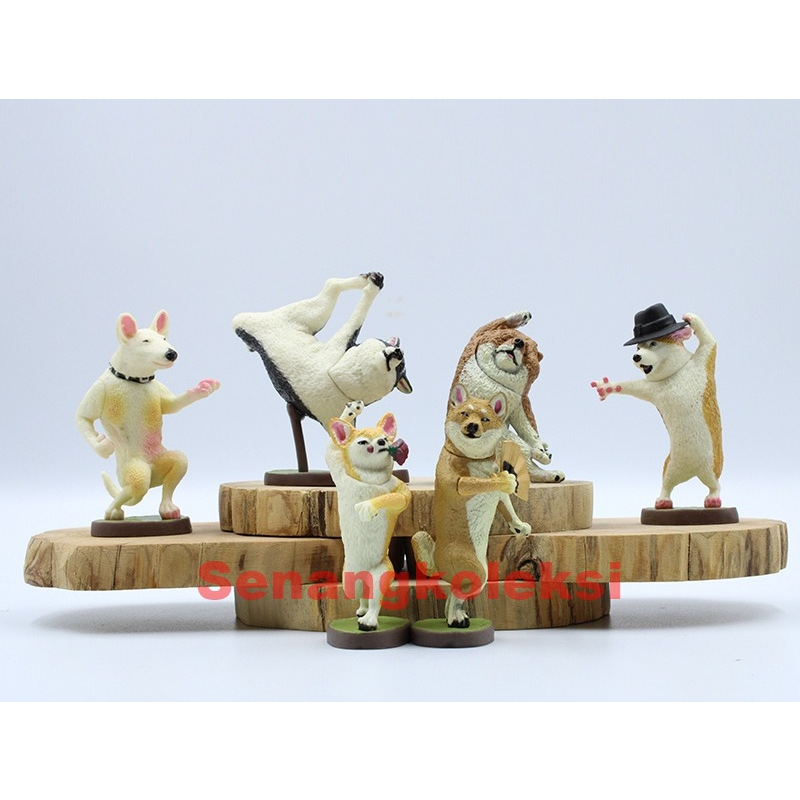 Animal life sale dancing dog