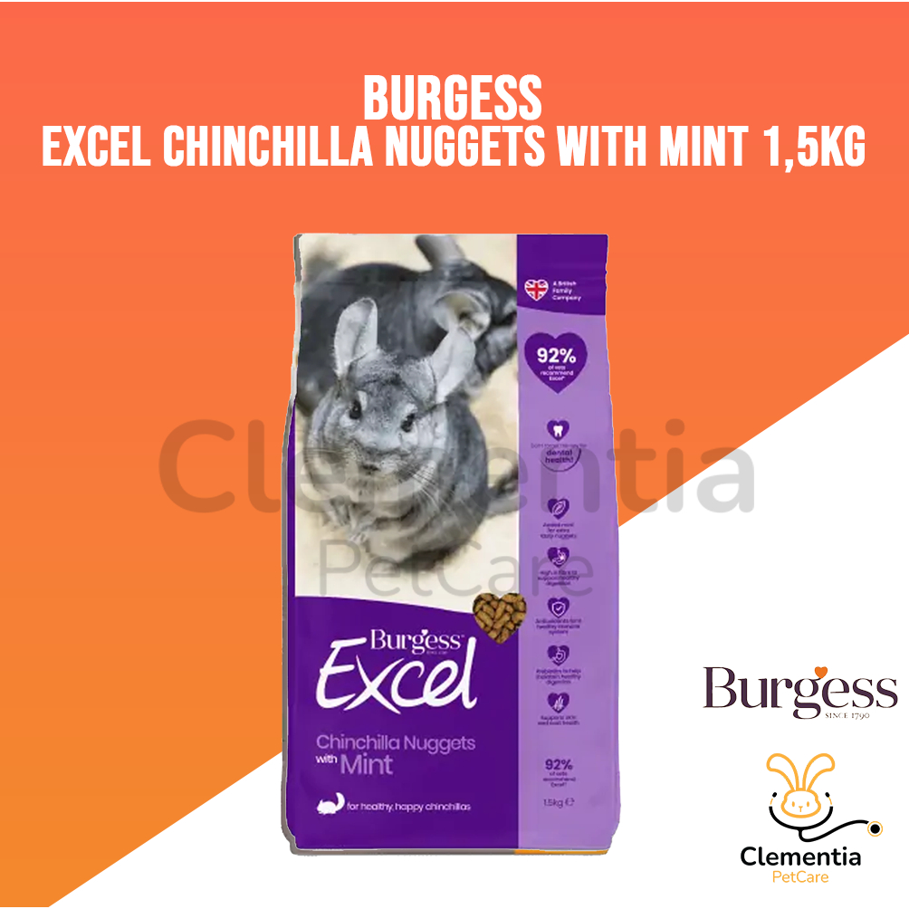 Burgess excel chinchilla nuggets sale