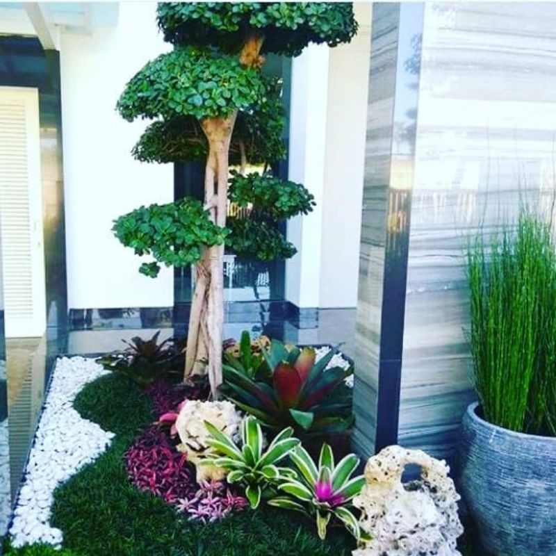 Jual Jasa Dekorasi taman minimalis | Shopee Indonesia