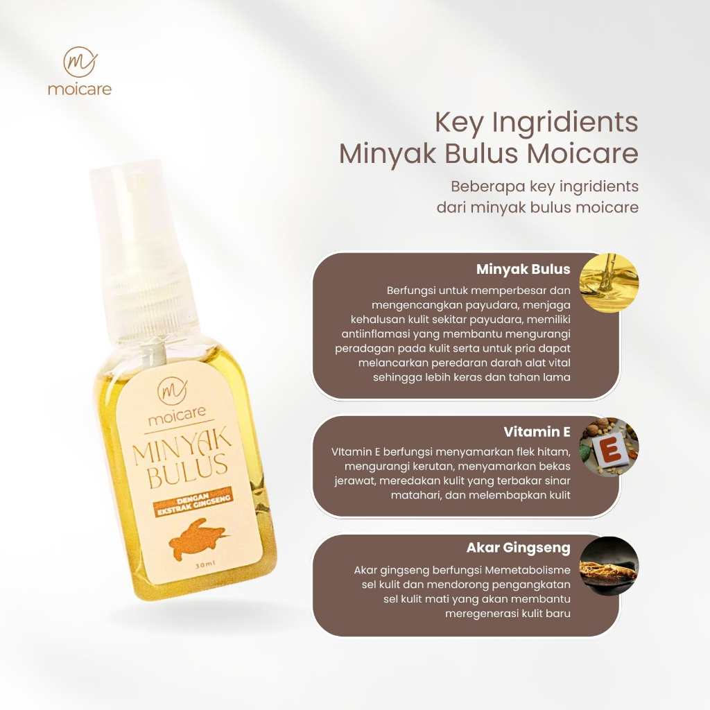 Jual Bulus Oil Minyak Bulus Murni Plus Extract Ginseng Pembesar ...