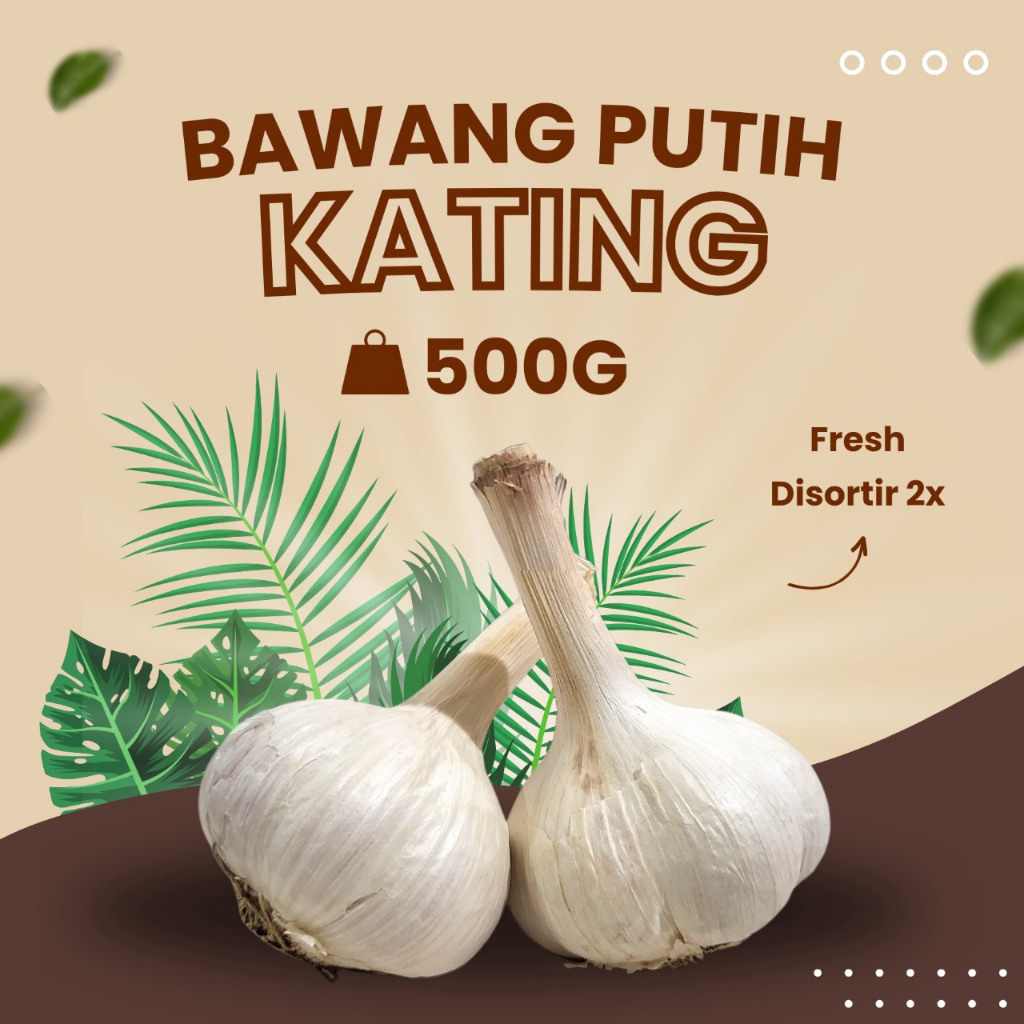 jual-bawang-putih-kating-500-gram-premium-tidak-ada-yang-busuk