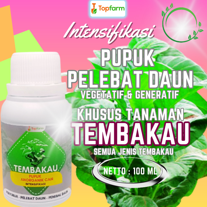 Jual Pupuk Tembako Terbaik / Pupuk Daun Dan Batang Tembako / Pupuk ...
