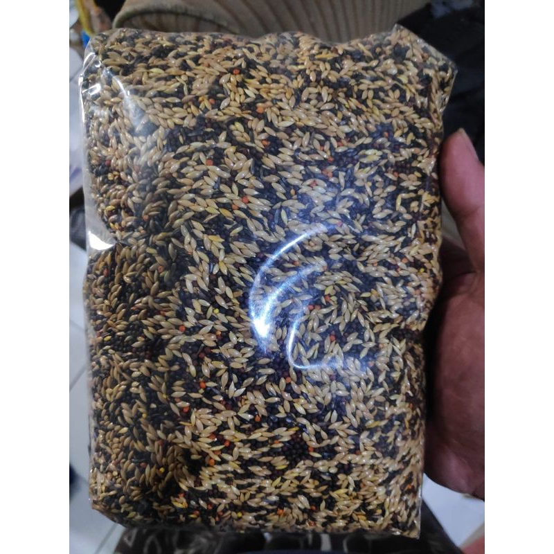 Jual Pakan Kenari Racikan Premium (1kg) | Shopee Indonesia