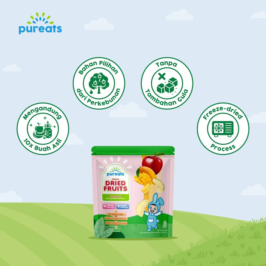 Jual PUREATS FREEZE DRIED FRUITS FOOD 15GR | Shopee Indonesia