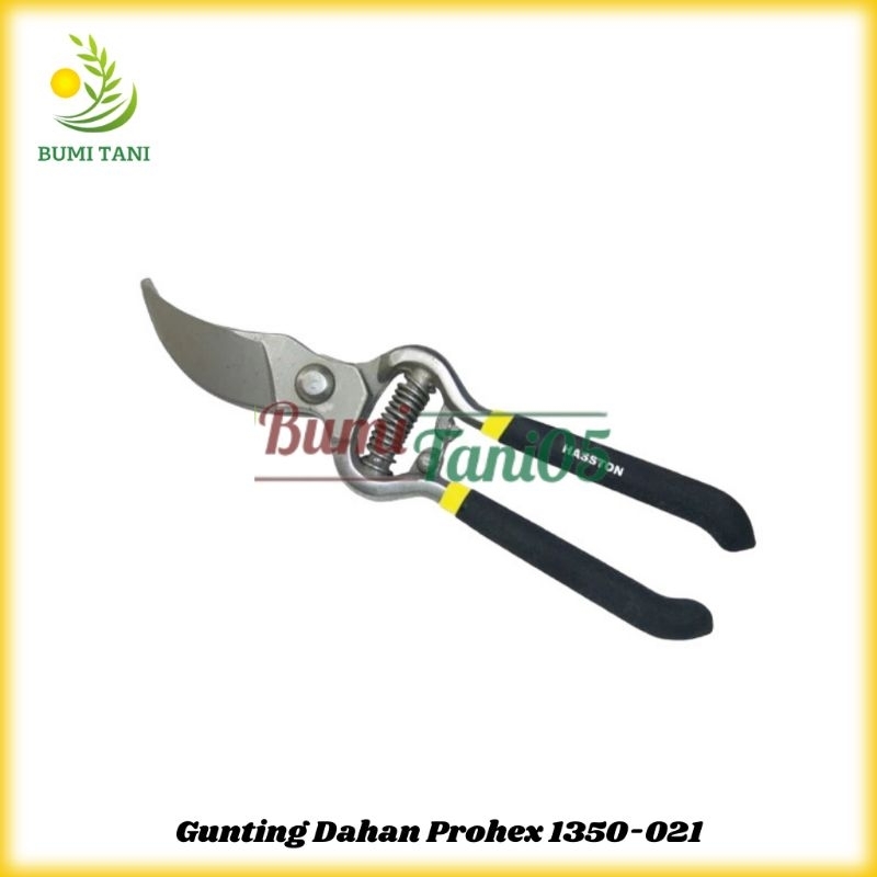 Jual Hasston Prohex Gunting Dahan Ranting Bunga 1350-021 Gagang Karet 9 ...