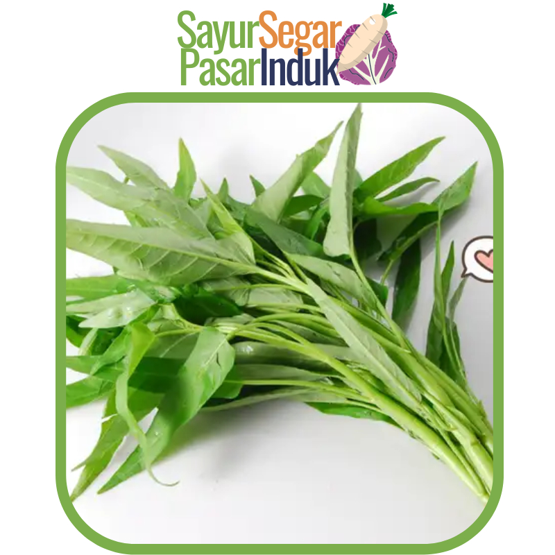 Jual Sayur Kangkung Sayur Segar Pasar Induk Shopee Indonesia