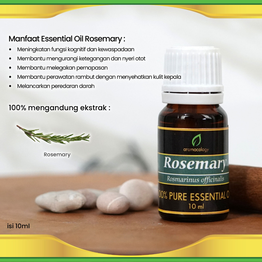 Jual Rosemary Essential Oil Aromaterapi Aromacology - 10ml | Shopee ...