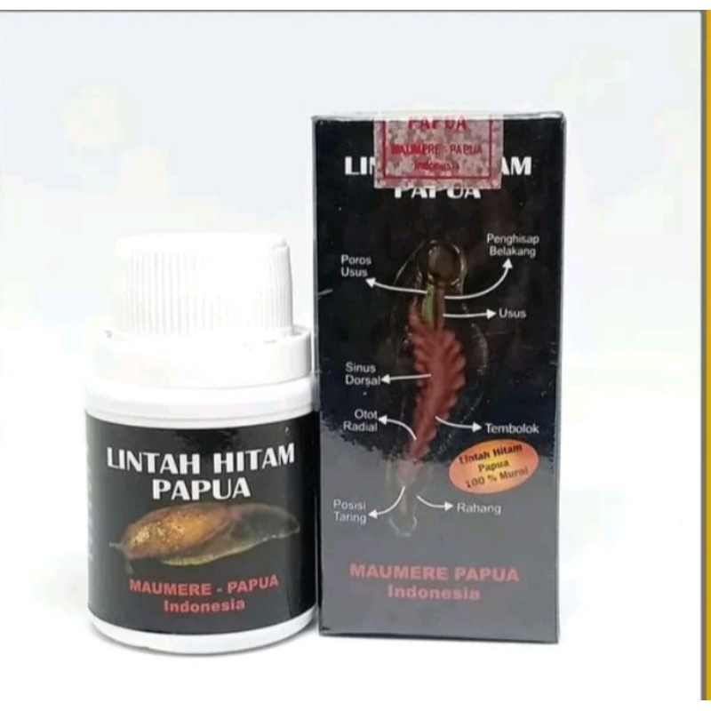 Jual Minyak Lintah Hitam Asli Papua Herbal Alami Tanpa Efek Samping