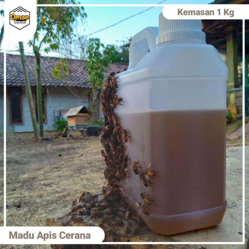 Jual Madu Asli Lebah Liar Apis Cerana Kg Shopee Indonesia