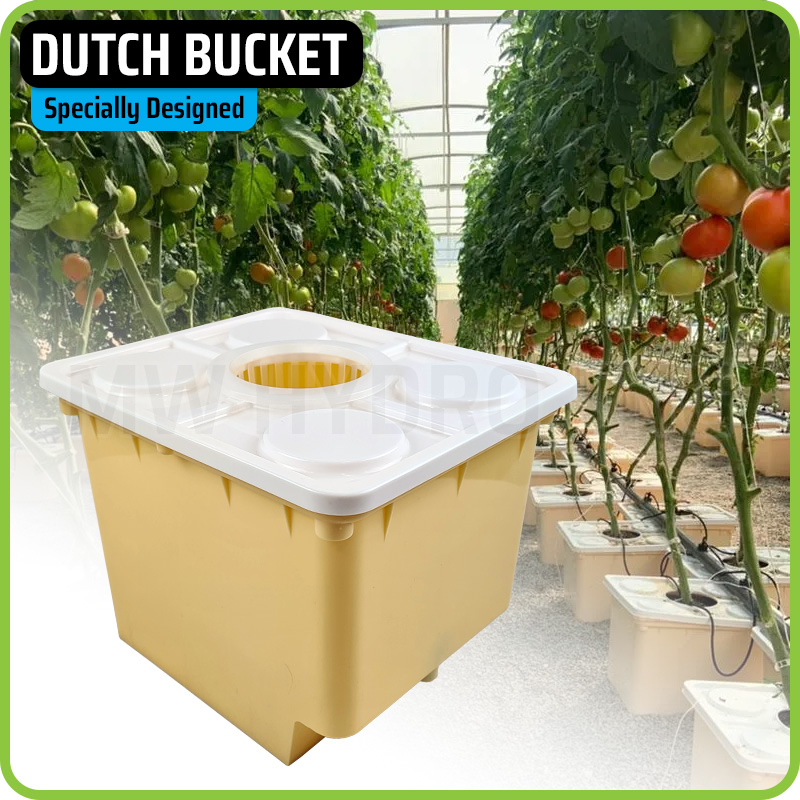 Jual Original Dutch Bucket / Bato Bucket Hidroponik Shopee Indonesia