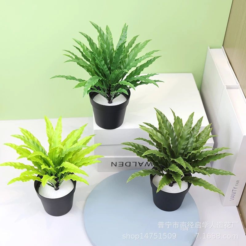 Jual Ornamen Tanaman Bunga Daun Pakis Artifisial Plastik Pot