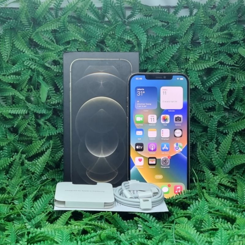 Jual iPhone 12 Pro Max 256 GB GiBox Garansi Resmi Shopee Indonesia