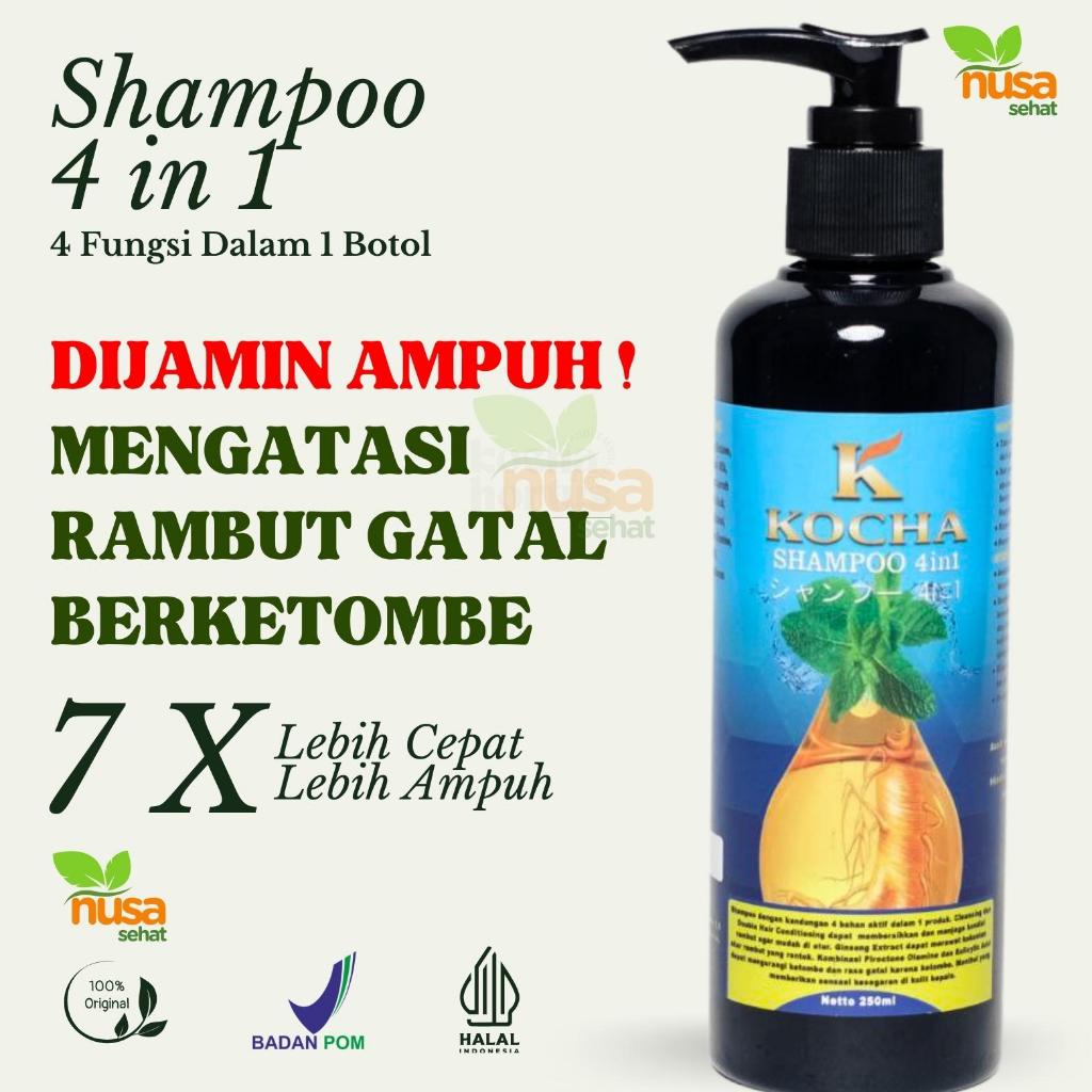 Jual Shampoo Anti Ketombe Rambut Gatal Paling Ampuh Original KOCHA BPOM ...