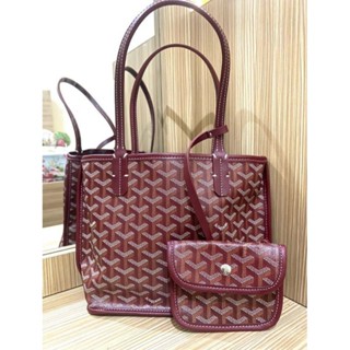 Jenis-Jenis Goyard Mini Anjou, Beli Disini! 