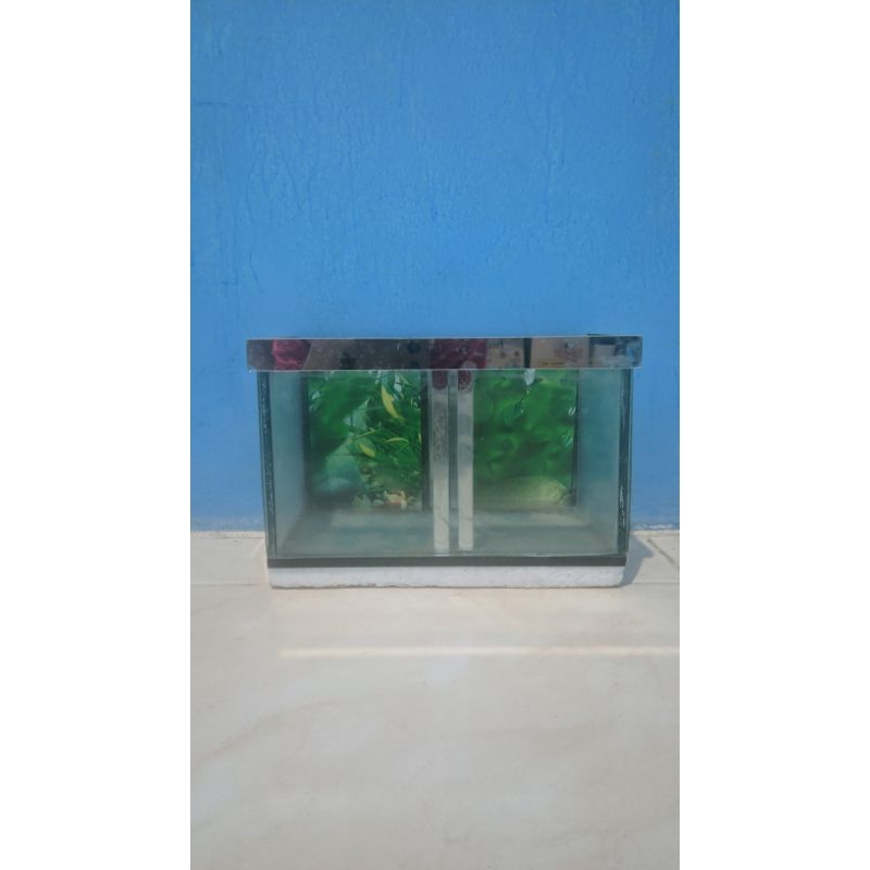 Jual AQUARIUM IKAN KECIL MINI 2 RUANGAN | Shopee Indonesia