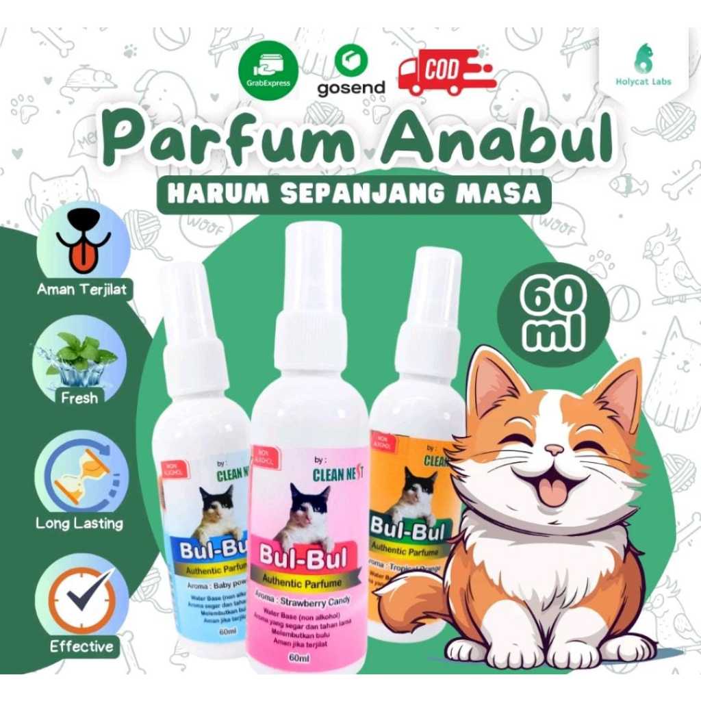 Jual Parfum Kucing BUL BUL Authentic Perfume Aman Terjilat Non Alkohol ...