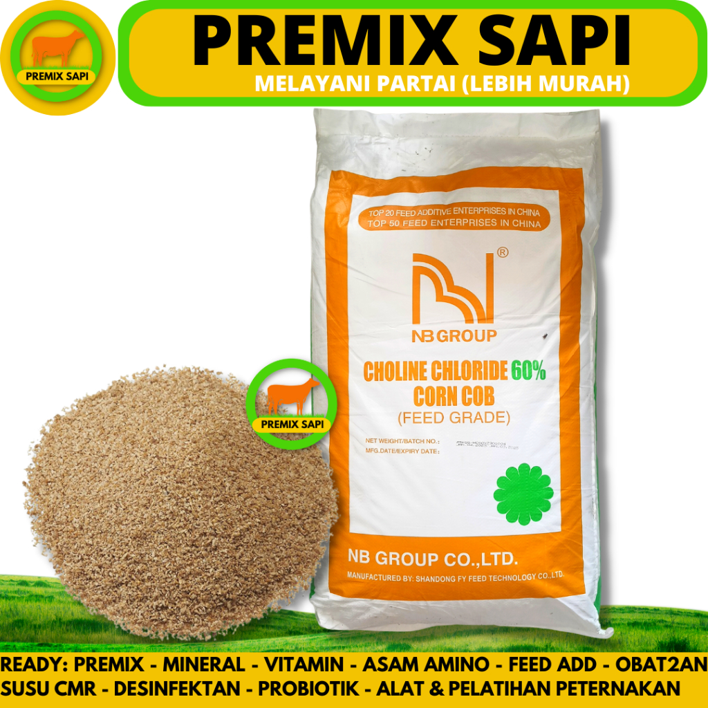 Jual CHOLINE CHLORIDE 25KG (1 SAK) Feed Additive Nutrisi Ternak Unggas