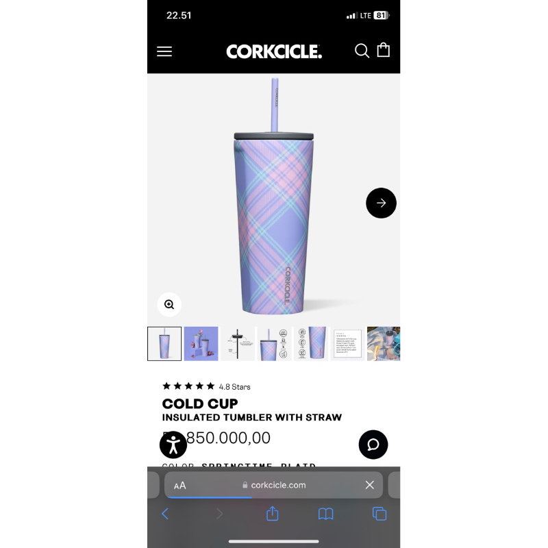 Jual Corkcicle INSULATED TUMBLER WITH STRAW Shopee Indonesia