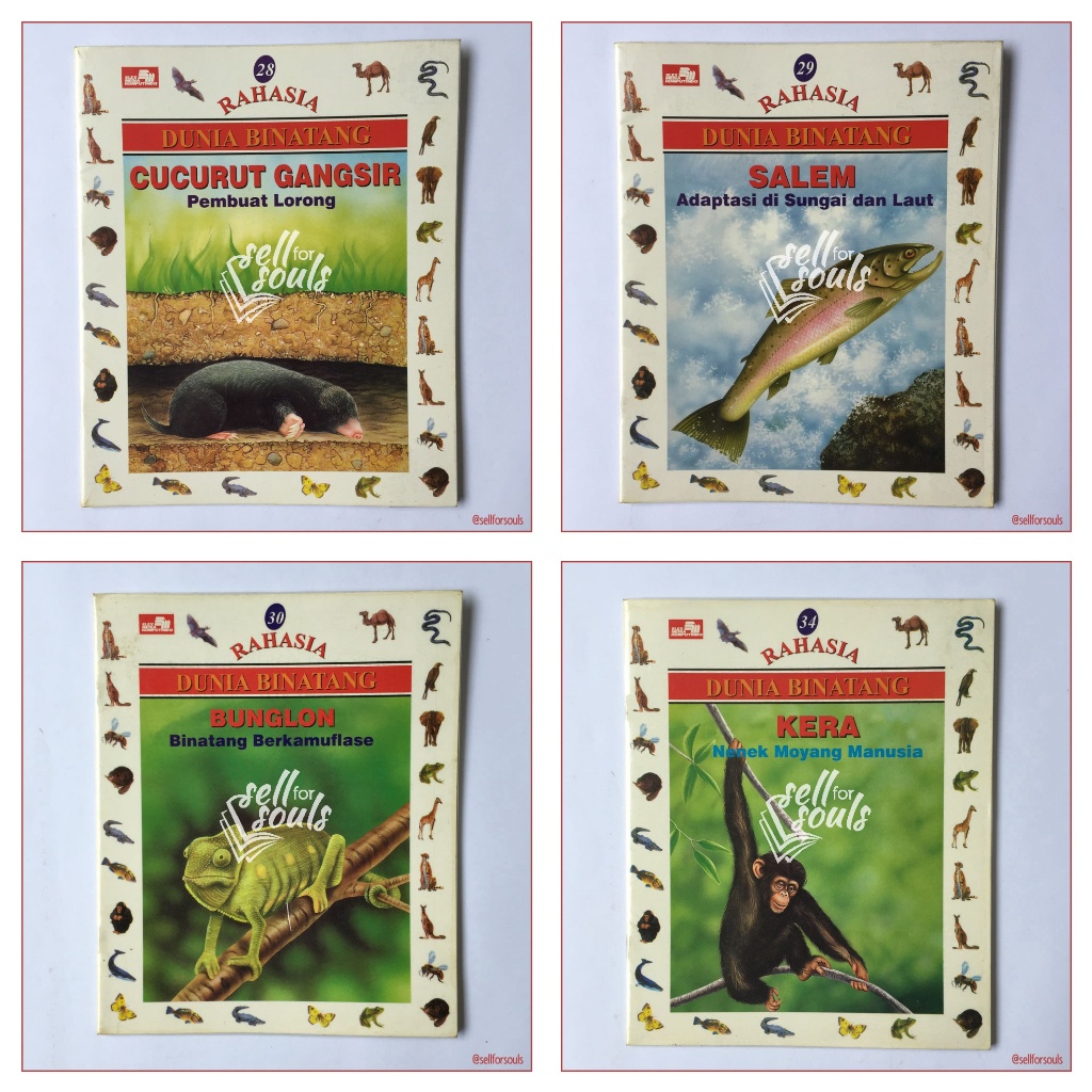 Jual [PB] Buku Pengetahuan - Seri Rahasia Dunia Binatang | Shopee Indonesia