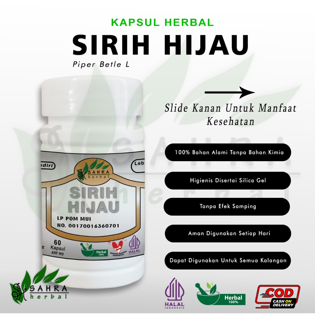 Jual Kapsul Sirih Hijau 60 Kapsul Herbal Alami Herbal Bau Badan Dan Mulut Herbalife 100 0465