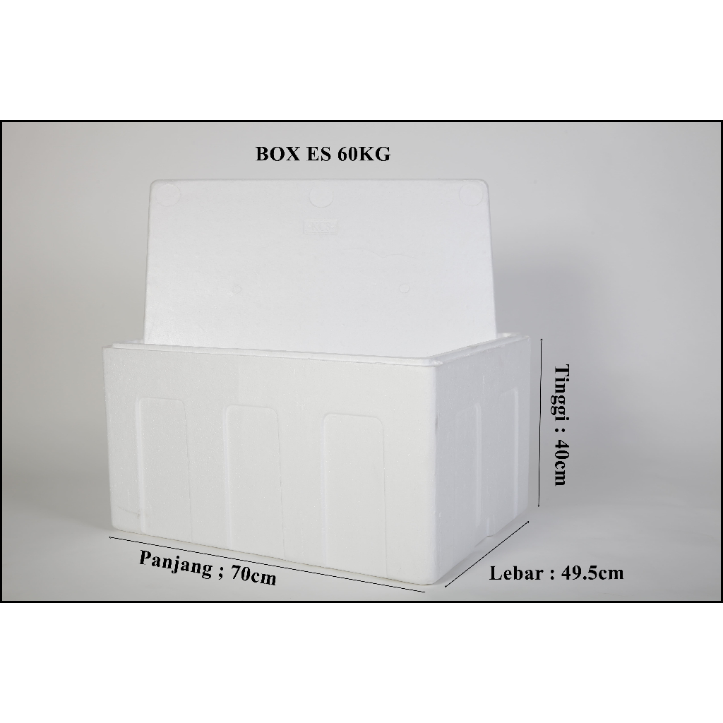 Jual Sterofoam Box/Box Styrofoam/Kotak Gabus/Kotak Foam/Cool Box/Cooler