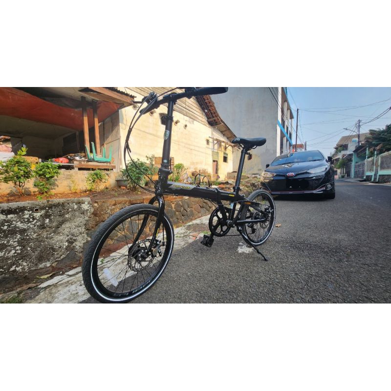 jual dahon ion