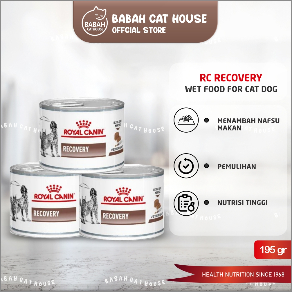 Royal canin recovery untuk kitten sale