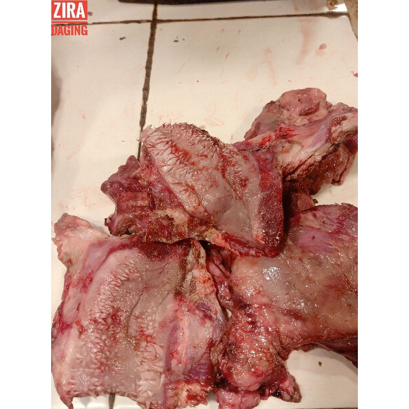 Jual Daging Kepala Sapi ( LIPS / CINGUR ) 1 kg | Shopee Indonesia