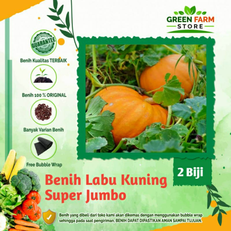 Jual Benih Labu Kuning Madu Besar (2biji) | Shopee Indonesia
