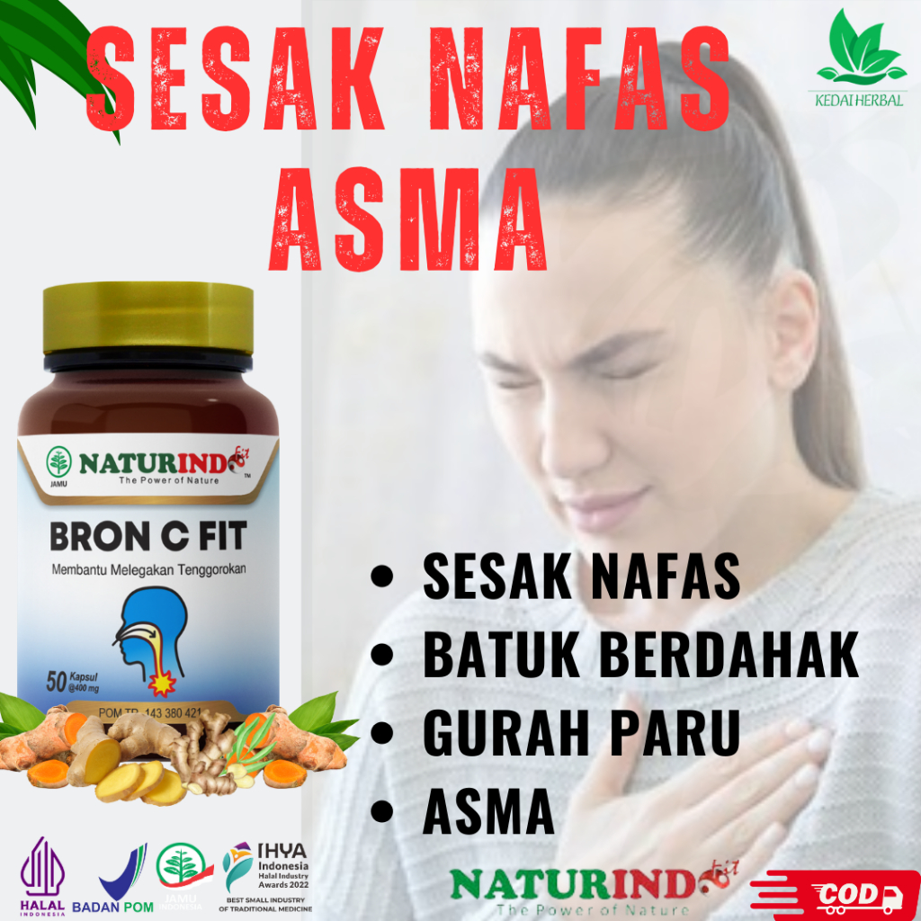 Jual Obat Sesak Nafas Asma Gangguan Pernafasan Paruparu Batuk Kering