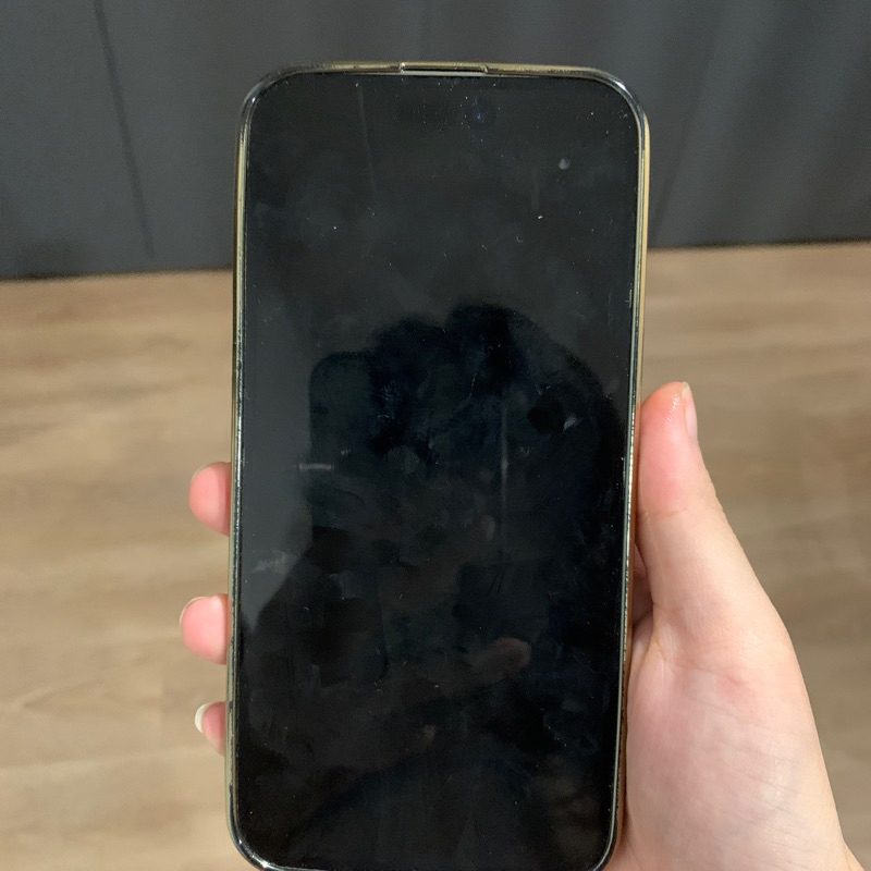 Jual iPhone 15 Promax (pelunasan) jangan dicheckout !! | Shopee Indonesia