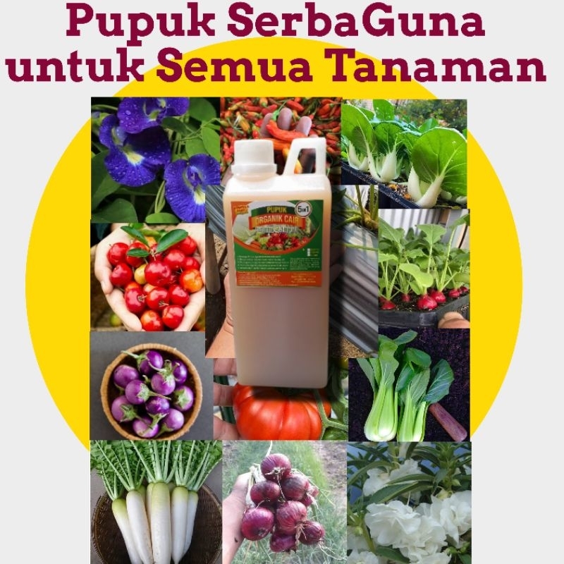 Jual Bumi Hijau Nutrisi Buah Bunga Sayur Palawija Ramah Lingkungan ...