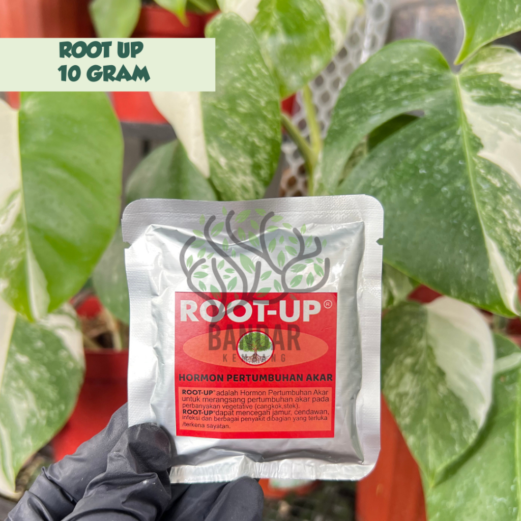 Jual Hormon Root Up Gram Stek Cangkok Tanaman Penumbuh Akar Shopee Indonesia