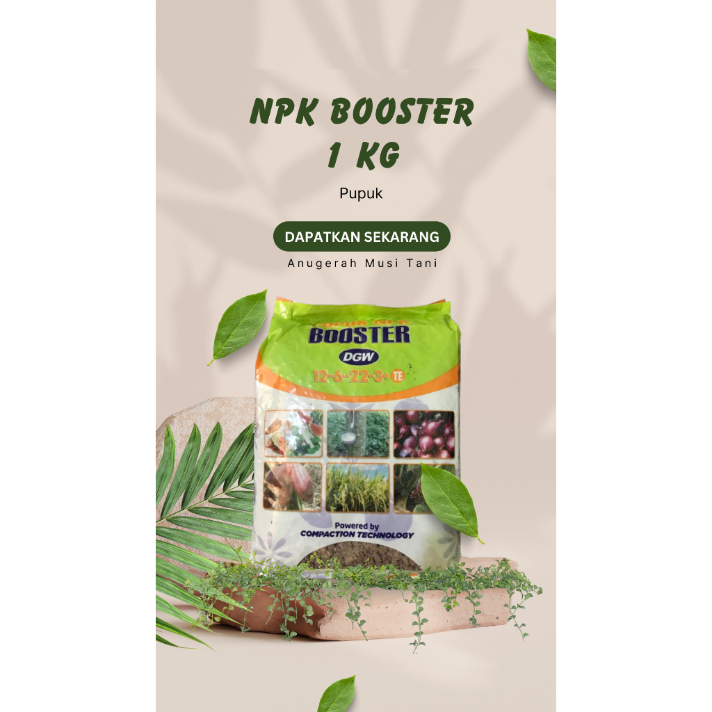 Jual Pupuk NPK Booster 12-6-22-3+TF DGW (1 Kg) | Shopee Indonesia