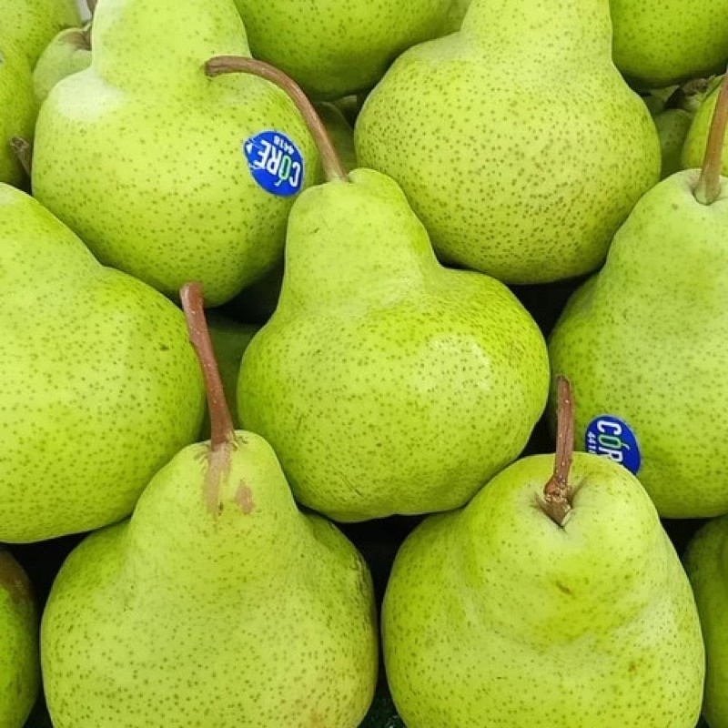 Jual Pear Packham Pir Hijau 1kg Shopee Indonesia 